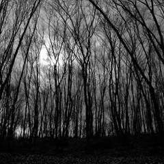 Unstoppable Set 05.05.2014