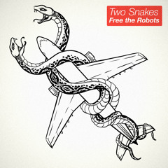 PT005 Free the Robots: Two Snakes