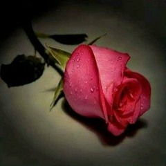ادم - اغنية اكدب عليك (فيديو كليب) _ اكتشف الموسيقى في موالي.mp3