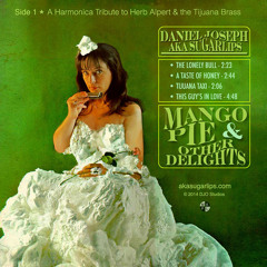 Taste Of Honey - Herb Alpert Tribute