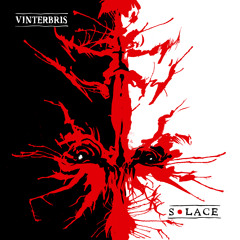 VINTERBRIS "Gazing At A Fallen Sky"