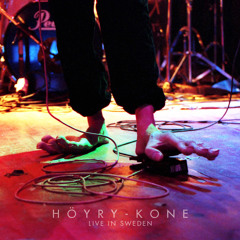 Live in Sweden - Hyönteiset