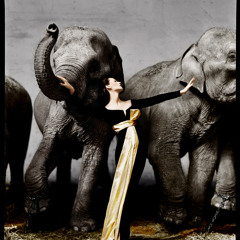 צק ברקמן - אחרי הזמן