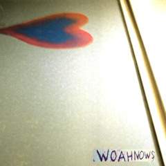 Woahnows - Life in Reverse