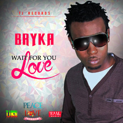 Wait For Your Love - Bryka [TJ Records / VPAL Music 2014]