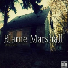 Blame Marshall (Lifes A Trip)