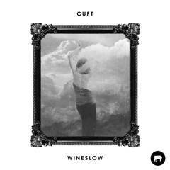 CUFT - Skin (Krimslo Remix)