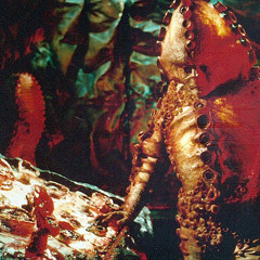 Zygon Spaceship (redux) - Doctor Who Sound Effects