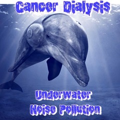 Underwater Noise Pollution