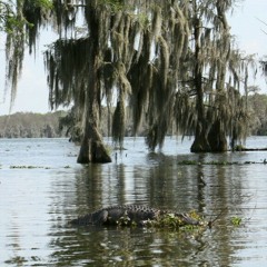 Nova ft DJC1K - ChiRaq (rmx)