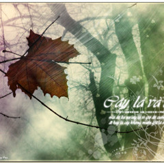 Cây , Lá Và Gió - Khổng Tú Quỳnh ft Thiên Minh , Đăng Khôi