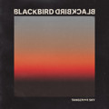 Blackbird&#x20;Blackbird Tangerine&#x20;Sky&#x20;&#x28;I&#x20;Love&#x20;You&#x20;The&#x20;Most&#x29; Artwork