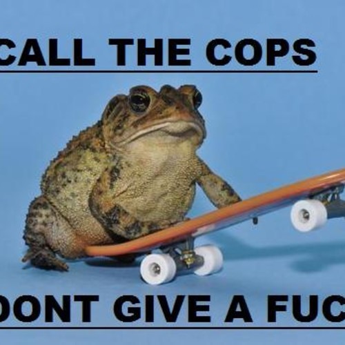 I promised IM-AWFUL-AT-THIS-HELP to make a meme for him and this is all i got.