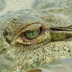 The Pissed Off I Didn't Get To Frenchtek Mix