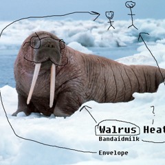 Walrus Heat