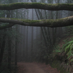 Recoiling Forever The Plastic Mind Blooms In Horror