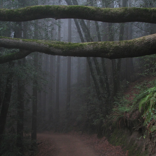 Recoiling Forever The Plastic Mind Blooms In Horror