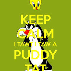 PuddyKat