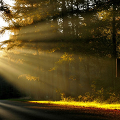 sunshine