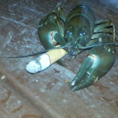 Something About The Light Down Here