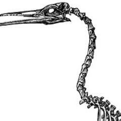 "United Chorus of Grasshoppers" raw material -- Liz Christy Birds