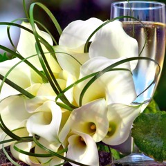 Silent Hill Promise - Acoustic (Merigoman)