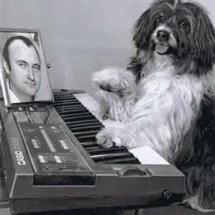 S.Klimperbeat aka The Shit Pitcher - Ease of Cheese