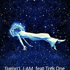 Gravity - Damn L.i.am feat Trek One