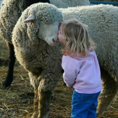 CURS DE MIRACOLE - CAPITOLUL 3: PERCEPTIA INOCENTA