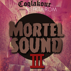 Sélékta Rom - Mix Mortel sound party 3 ( Mai 2014  )