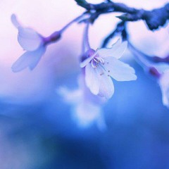 Täieliku rahu lõdvestusasend