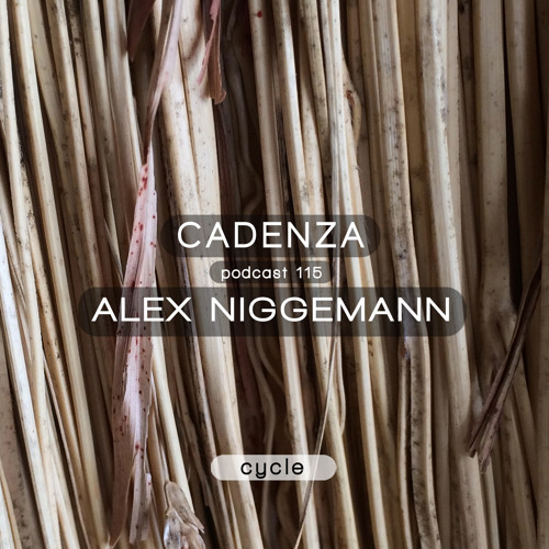 Cadenza Podcast | 115 - Alex Niggemann (Cycle)