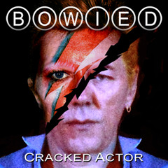 Cracked Actor - BowieD (David Bowie Cover)