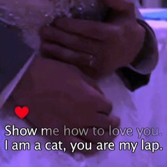 Movement VI - Romantic Statements