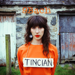 9Bach - Llwynog