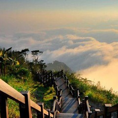 إخوانيات