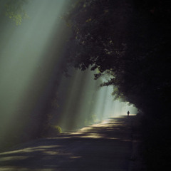 Lonely Path ( Instrumental )