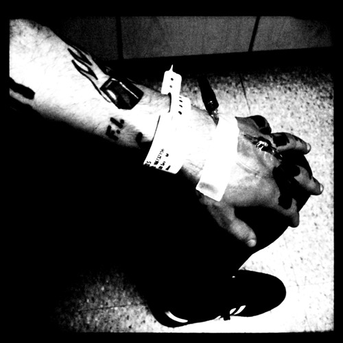 fucking-invincible-dead-dogs