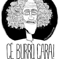 [bulhoeS] - como você é burro