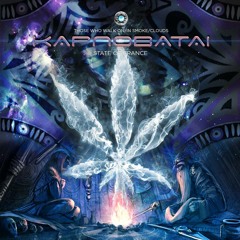 Highstyle-Space Cadets 147 Psymoon Records - V.A Kapnobatai