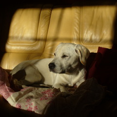 just chillin'