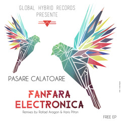 Pasare Calatoare - Fanfara Electronica (Haris Pilton Remix)