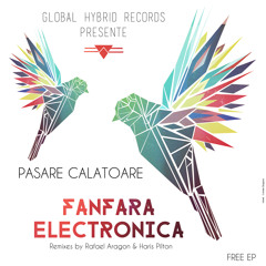 Pasare Calatoare - Fanfara Electronica (Rafael Aragon Remix)
