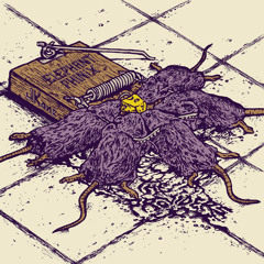 Elephant Phinix - The Providers