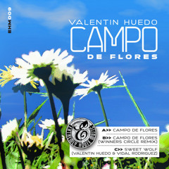 Valentin Huedo - Campo de flores