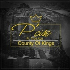 P'cise f/ Troy Ave- County Of Kings (Produced by Vinny Idol)