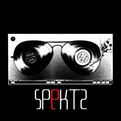 Spektz - Feel the Funk (Presidential House) (Original Mix)