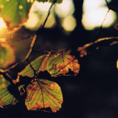 Fall Inside Your Mind