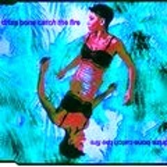 Drizabone Feat Dee Heron Catch The Fire