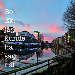 Jag Kunde Ha Sagt Nåt